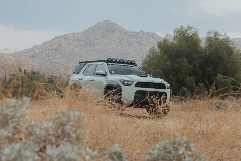 Photo - Close Up