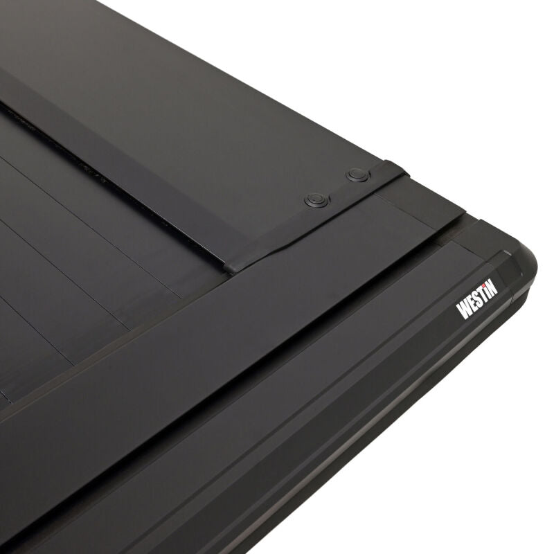 Photo - Close Up