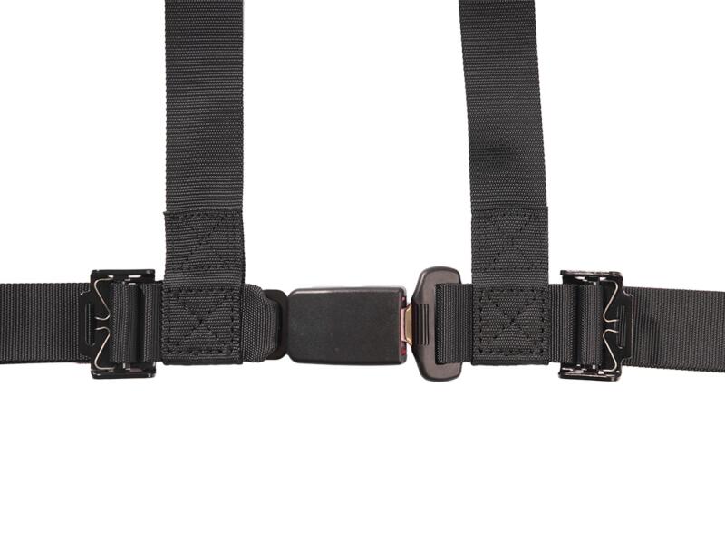 Photo - Close Up